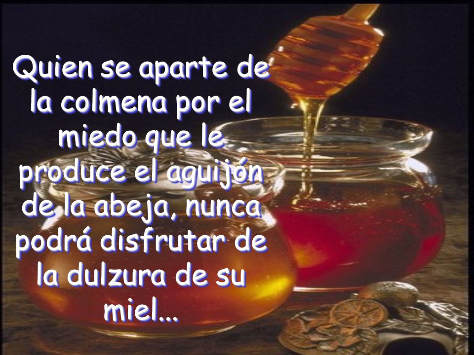 Quien se aparte de la colmena por el miedo que le produce el aguijón de la abeja, nunca podrá disfrutar de la dulzura de su miel...