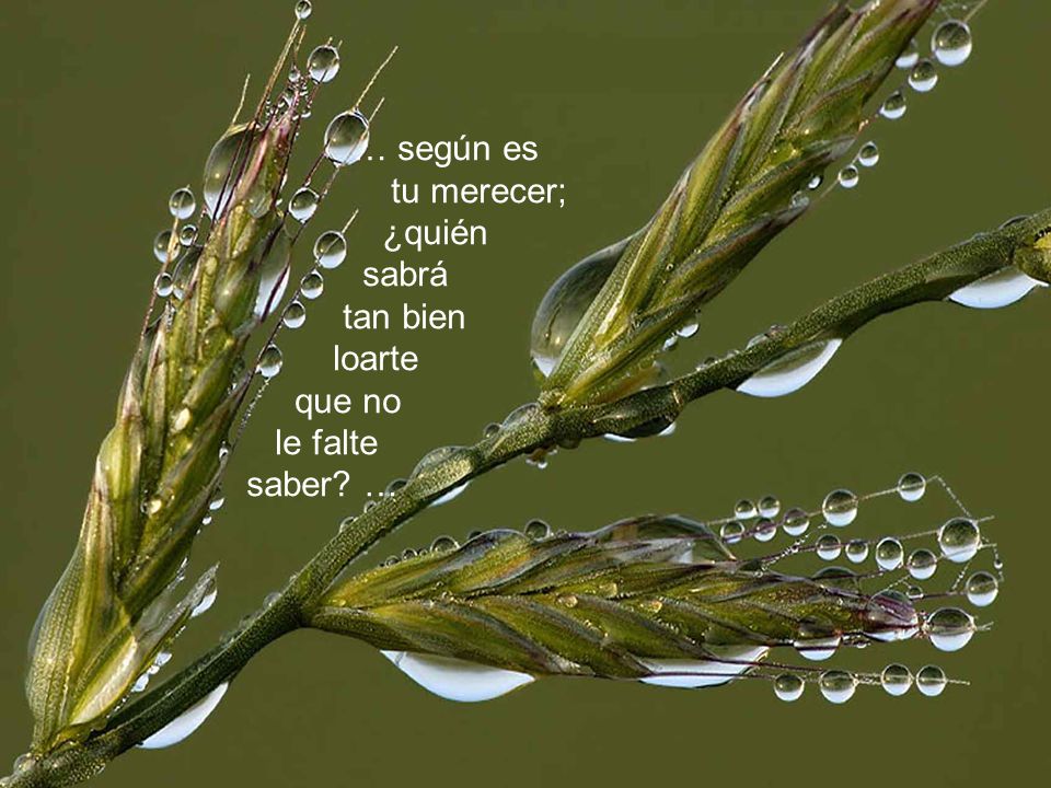 … según es tu merecer; ¿quién sabrá tan bien loarte que no le falte saber …
