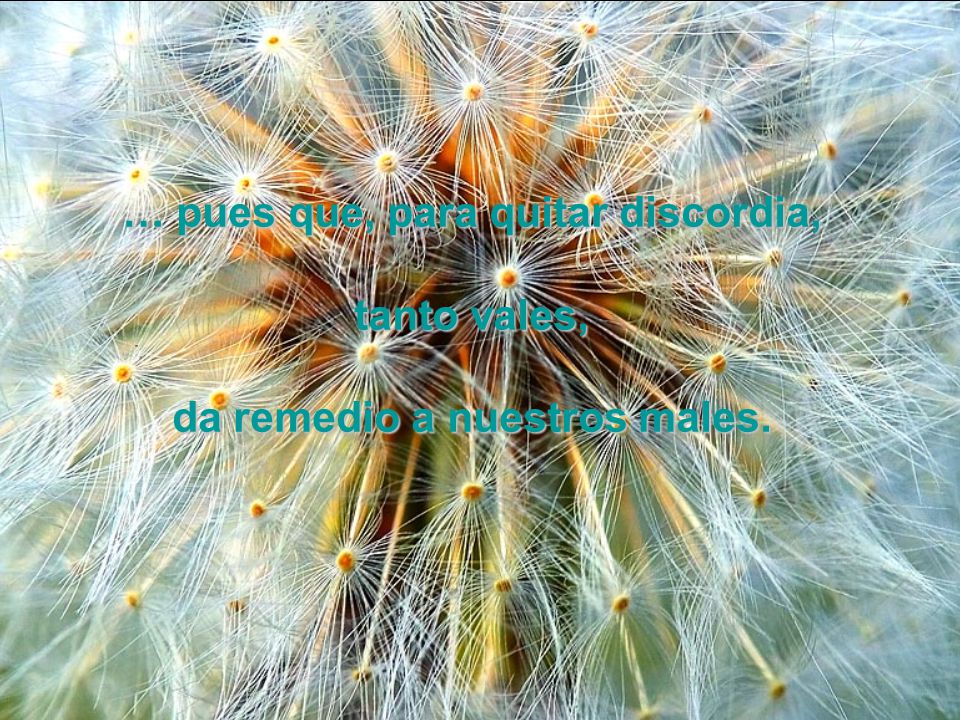 … pues que, para quitar discordia, da remedio a nuestros males.