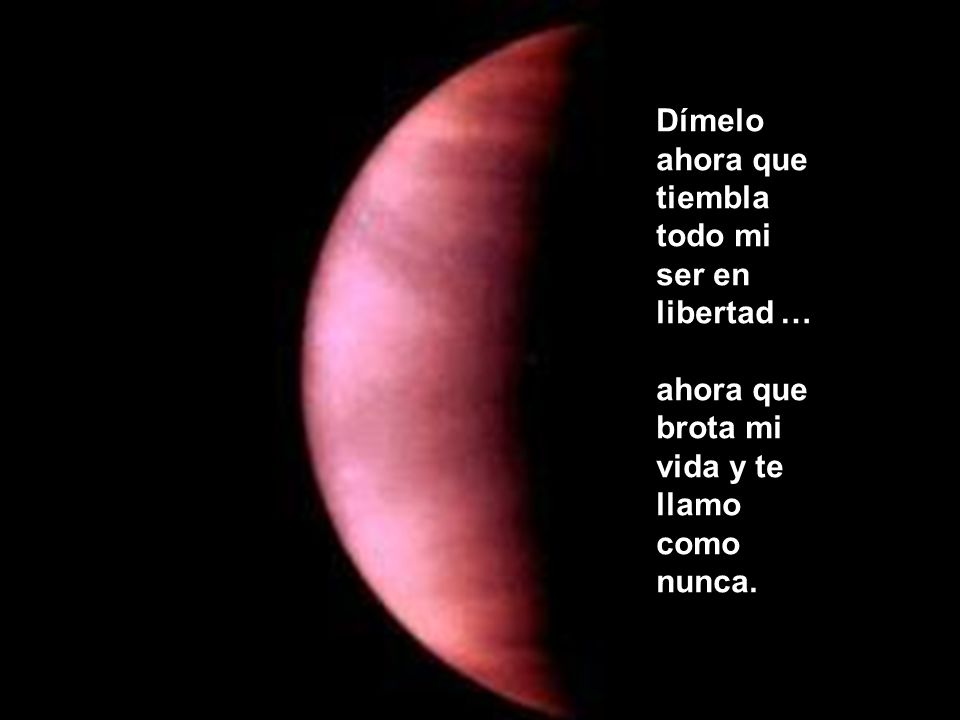 Dímelo ahora que tiembla todo mi ser en libertad …