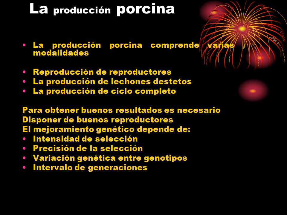 La producción porcina La producción porcina comprende varias modalidades. Reproducción de reproductores.