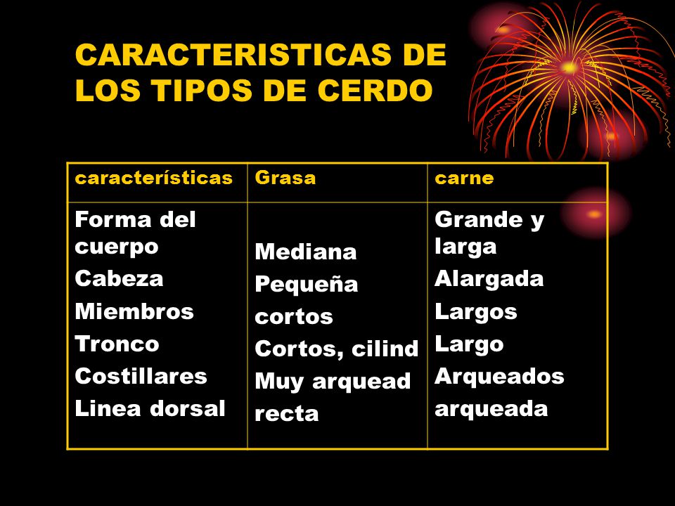 CARACTERISTICAS DE LOS TIPOS DE CERDO