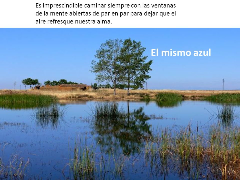 Es imprescindible caminar siempre con las ventanas de la mente abiertas de par en par para dejar que el aire refresque nuestra alma.
