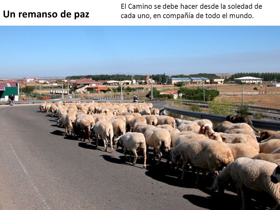 El Camino se debe hacer desde la soledad de cada uno, en compañía de todo el mundo.