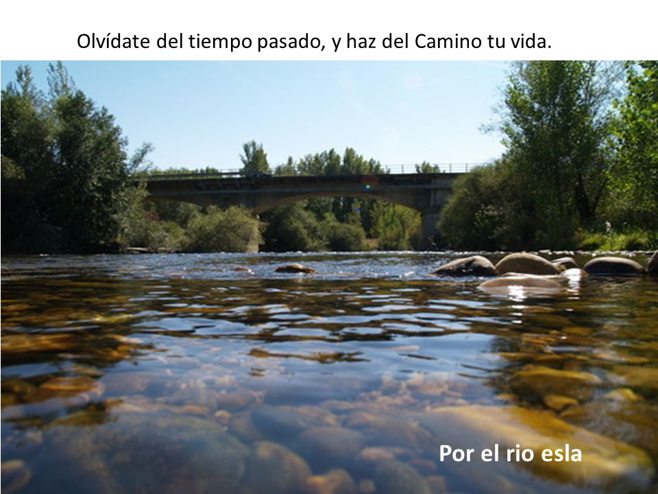 Olvídate del tiempo pasado, y haz del Camino tu vida.