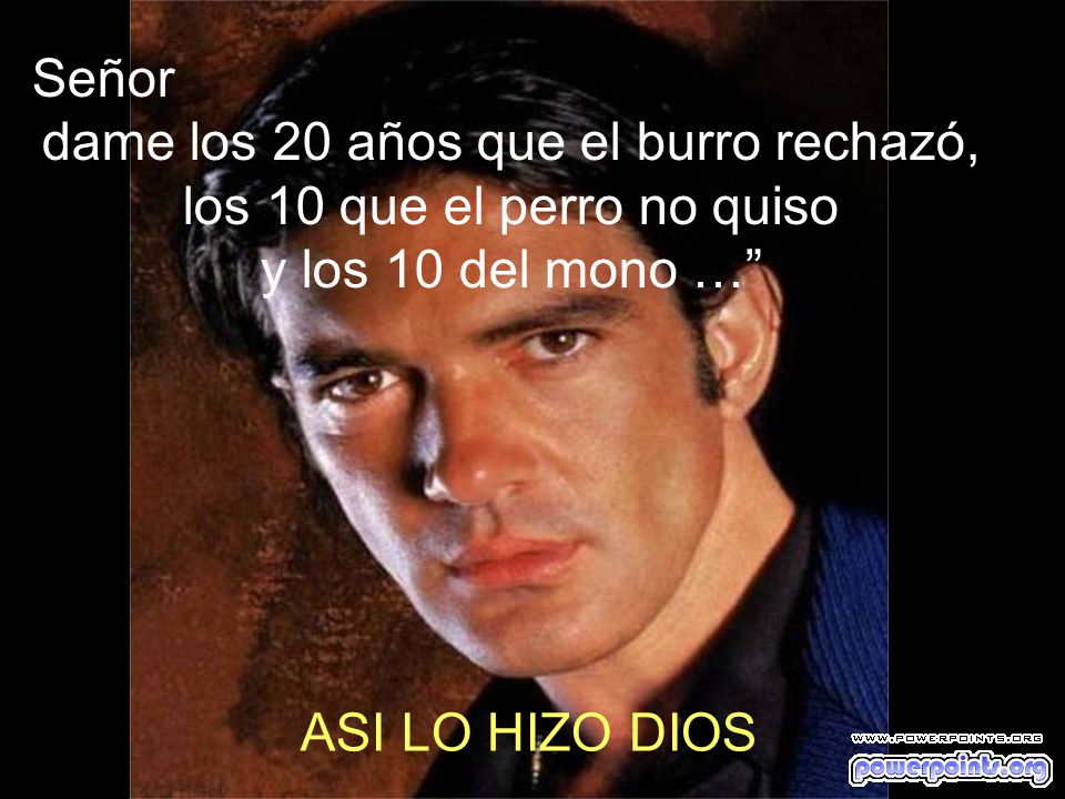 dame los 20 años que el burro rechazó, los 10 que el perro no quiso