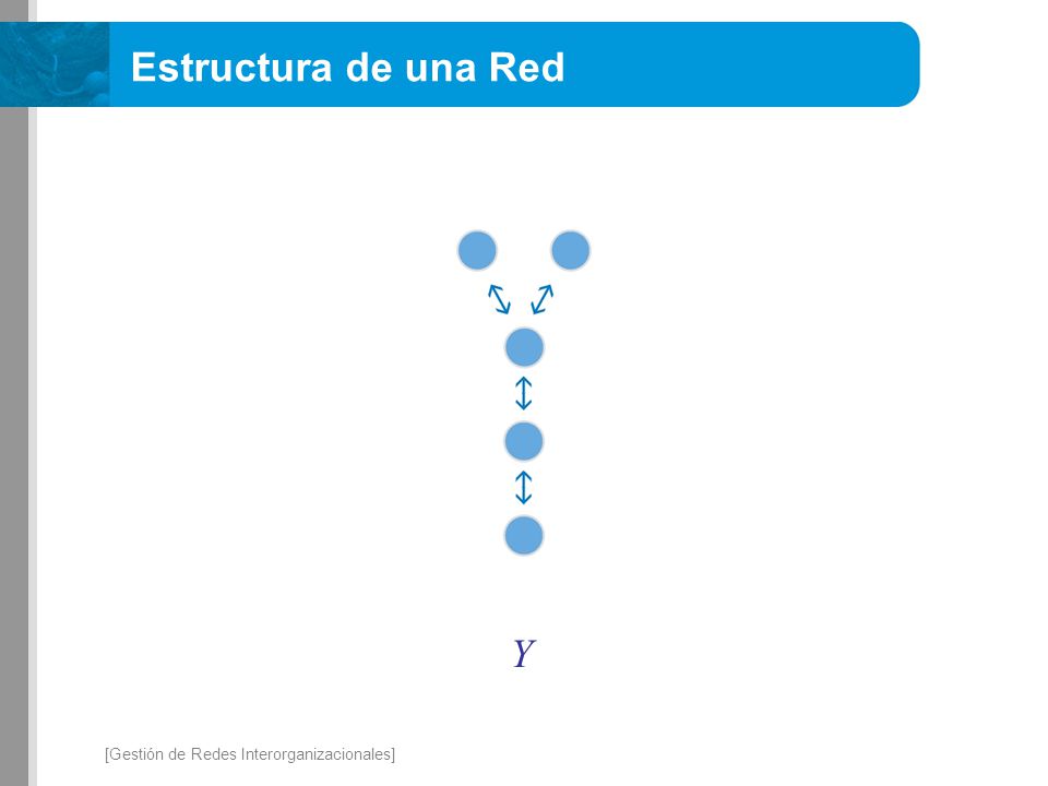 Estructura de una Red Y [Gestión de Redes Interorganizacionales]