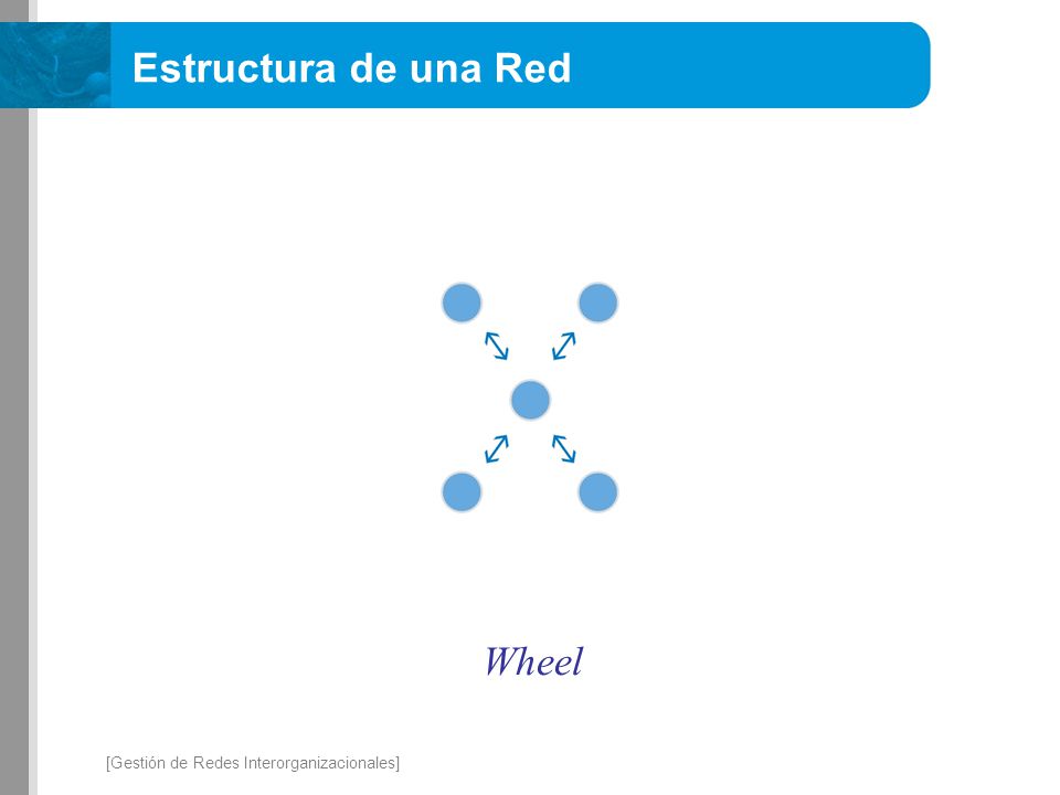 Estructura de una Red Wheel [Gestión de Redes Interorganizacionales]