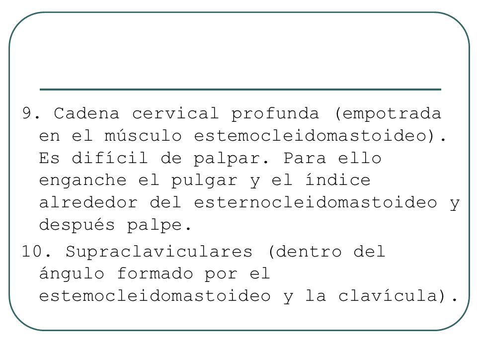 9. Cadena cervical profunda (empotrada en el músculo estemocleidomastoideo). Es difícil de palpar. Para ello enganche el pulgar y el índice alrededor del esternocleidomastoideo y después palpe.