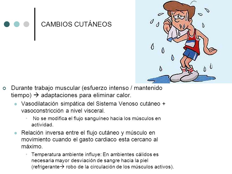 CAMBIOS CUTÁNEOS Durante trabajo muscular (esfuerzo intenso / mantenido tiempo)  adaptaciones para eliminar calor.