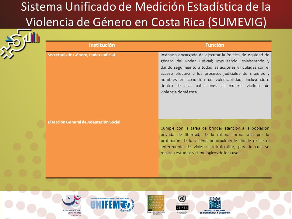 Sistema Unificado de Medición Estadística de la Violencia de Género en Costa Rica (SUMEVIG)