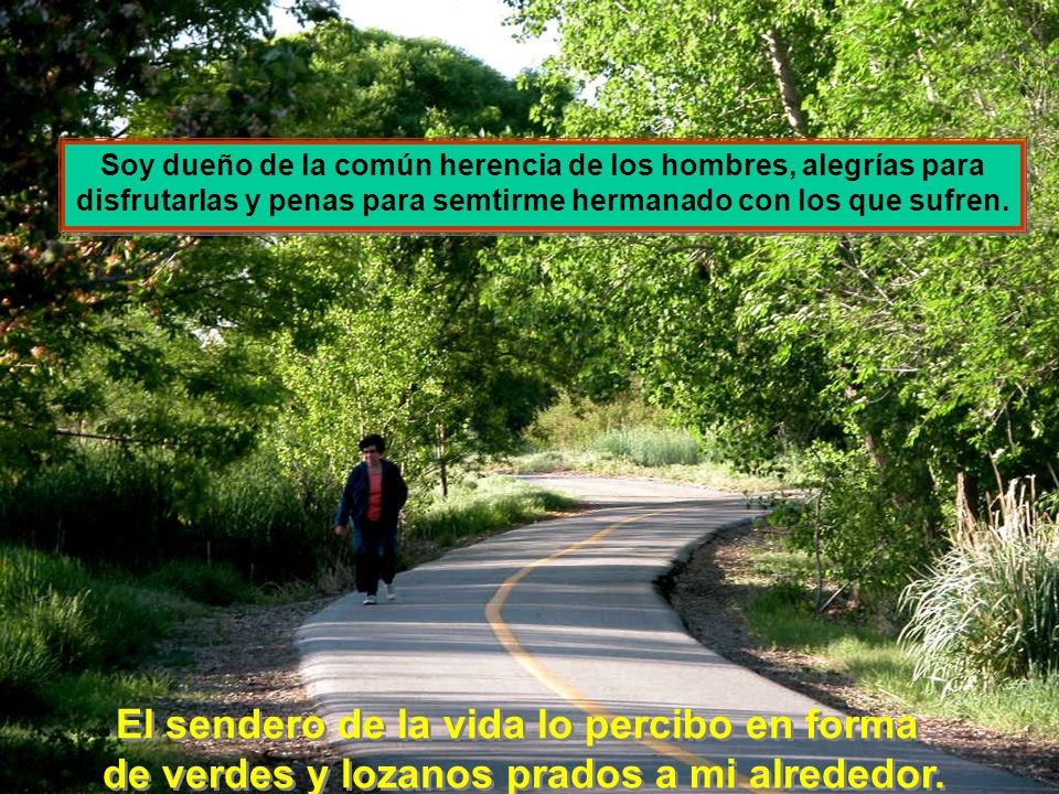 El sendero de la vida lo percibo en forma