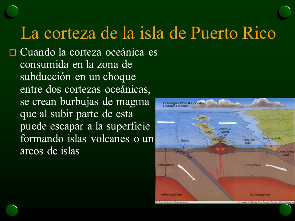 La corteza de la isla de Puerto Rico