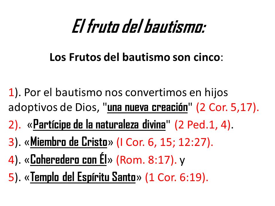 El fruto del bautismo: