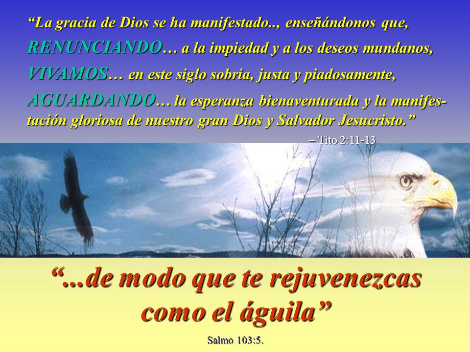 ...de modo que te rejuvenezcas como el águila Salmo 103:5.