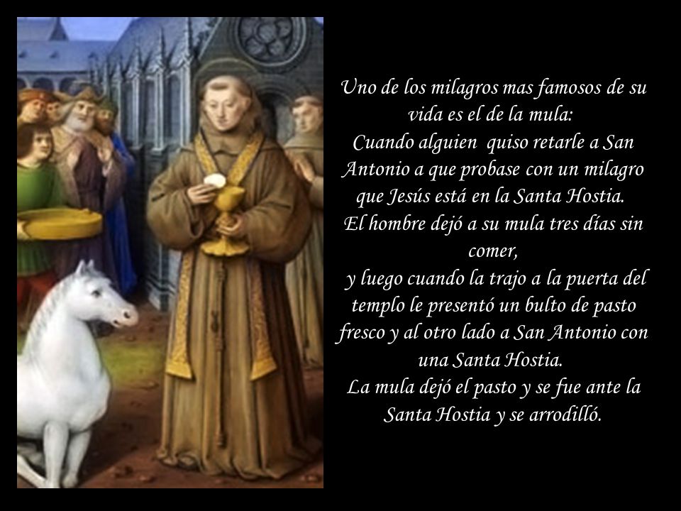 Uno de los milagros mas famosos de su vida es el de la mula: Cuando alguien quiso retarle a San Antonio a que probase con un milagro que Jesús está en la Santa Hostia.