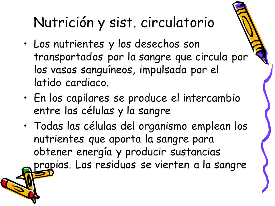 Nutrición y sist. circulatorio
