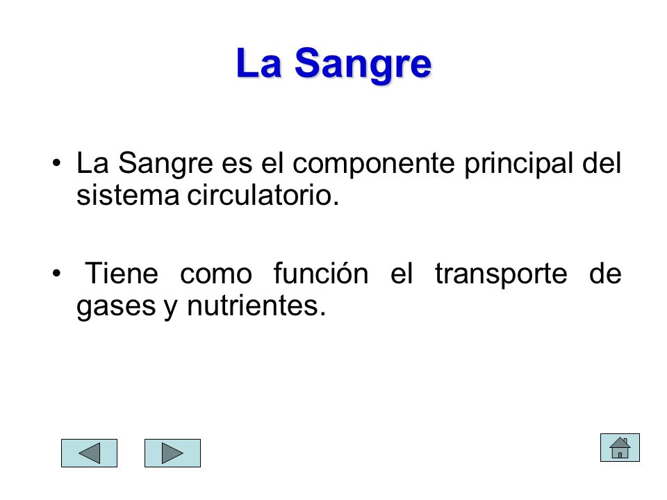 La Sangre La Sangre es el componente principal del sistema circulatorio.