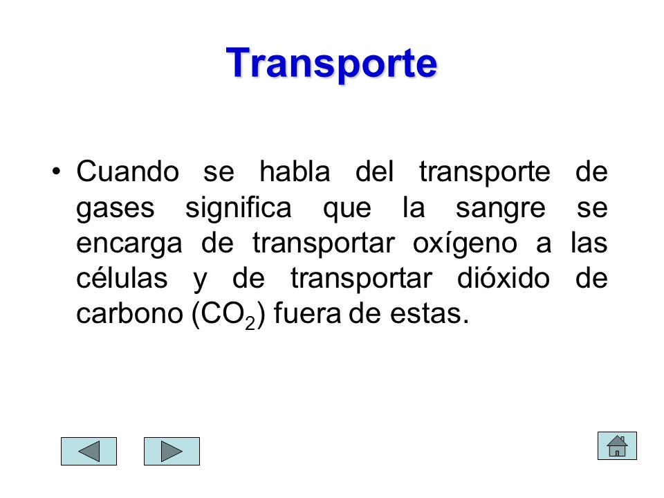 Transporte