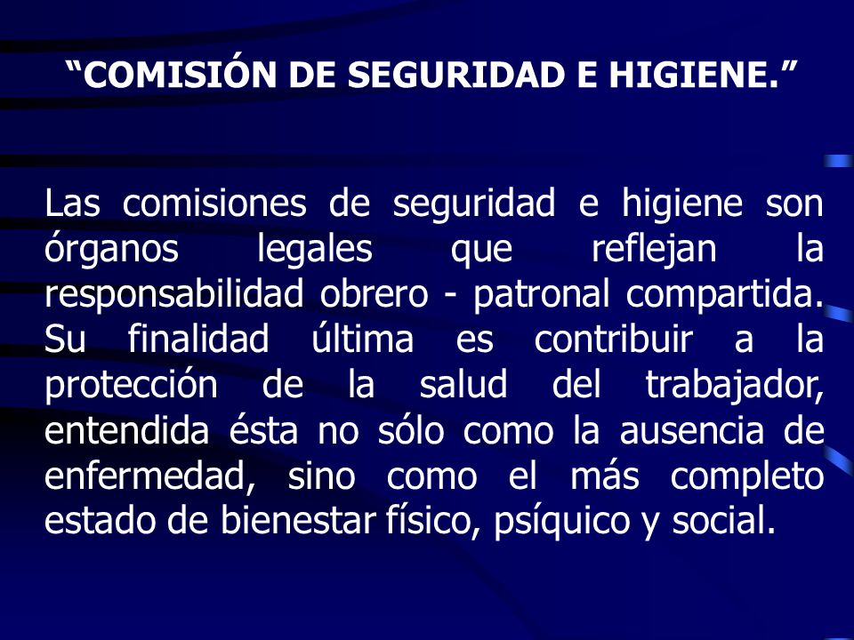 COMISIÓN DE SEGURIDAD E HIGIENE.