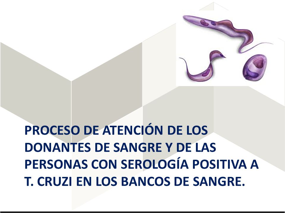 Proceso de atención de los donantes de sangre y de las personas con serología positiva a T.