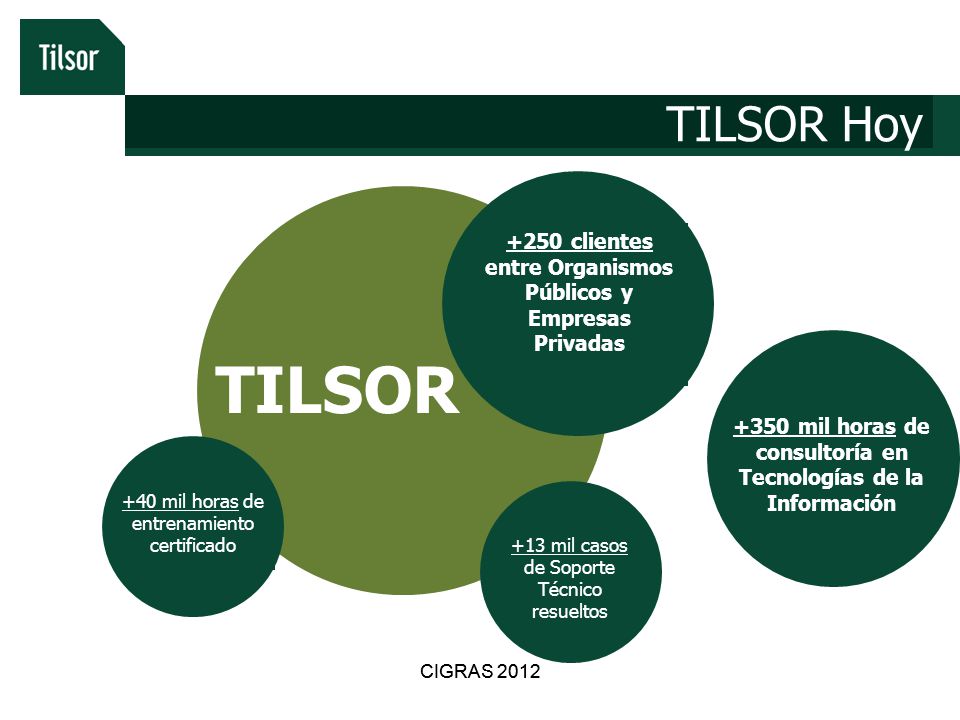 TILSOR Hoy +250 clientes entre Organismos Públicos y Empresas Privadas. TILSOR mil horas de consultoría en Tecnologías de la Información.
