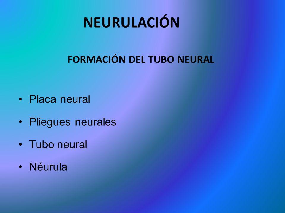NEURULACIÓN FORMACIÓN DEL TUBO NEURAL Placa neural Pliegues neurales