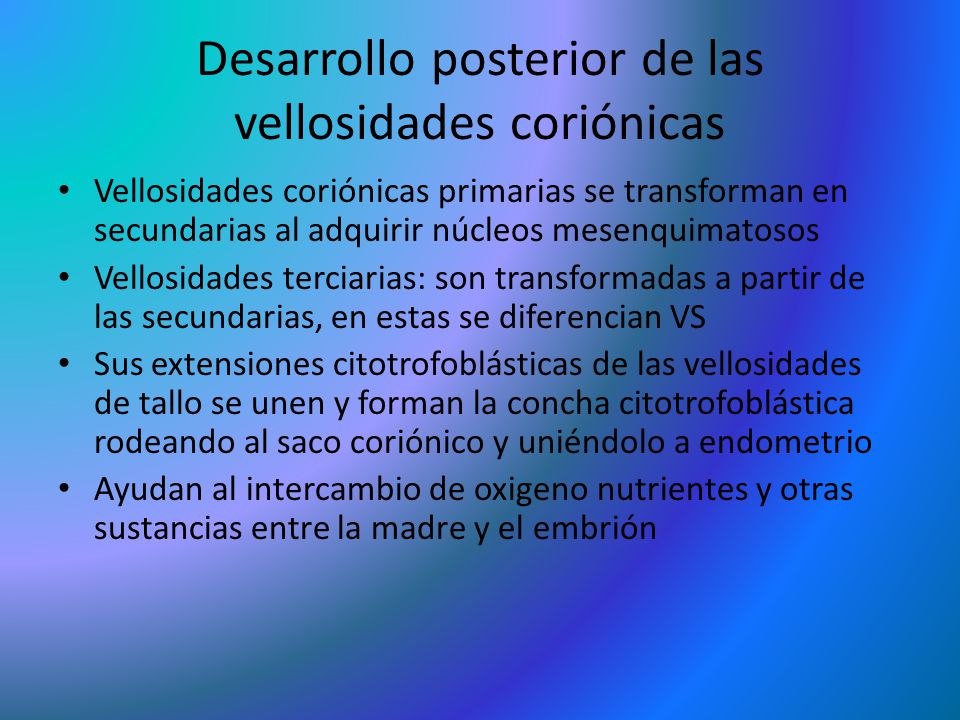Desarrollo posterior de las vellosidades coriónicas