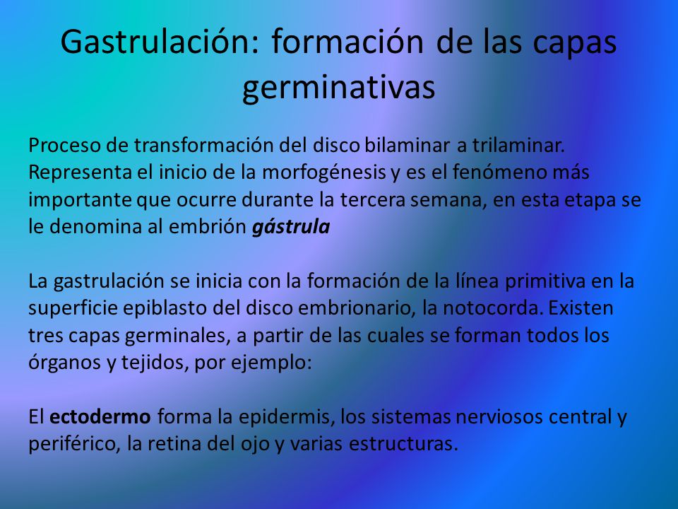Gastrulación: formación de las capas germinativas