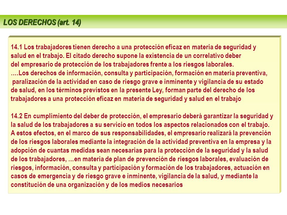 LOS DERECHOS (art. 14) 14.1 Los trabajadores tienen derecho a una protección eficaz en materia de seguridad y.