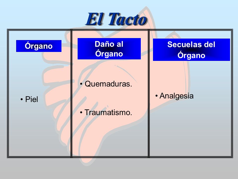 El Tacto Daño al Órgano Secuelas del Órgano Órgano Quemaduras.