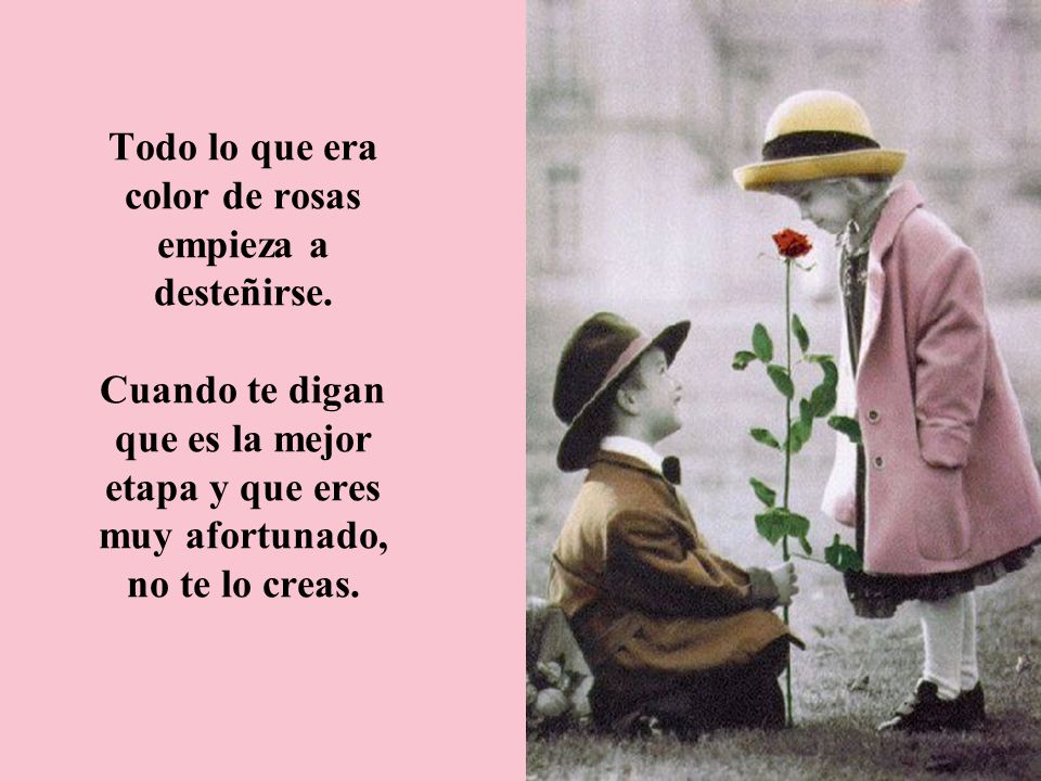 Todo lo que era color de rosas empieza a desteñirse