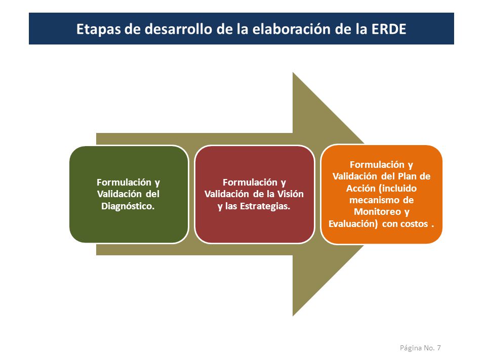 Etapas de desarrollo de la elaboración de la ERDE