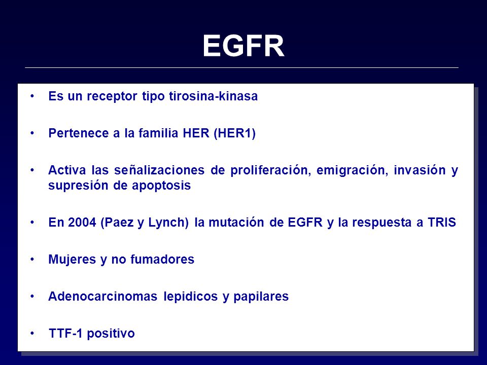 EGFR Es un receptor tipo tirosina-kinasa