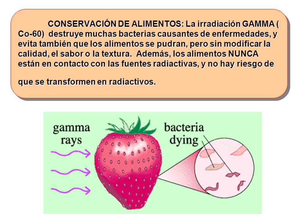 CONSERVACIÓN DE ALIMENTOS: La irradiación GAMMA ( Co-60) destruye muchas bacterias causantes de enfermedades, y evita también que los alimentos se pudran, pero sin modificar la calidad, el sabor o la textura.