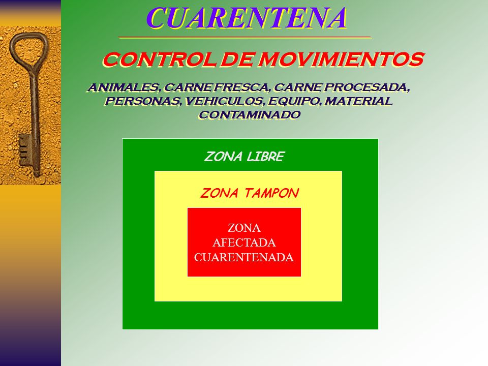CUARENTENA CONTROL DE MOVIMIENTOS ZONA LIBRE ZONA TAMPON ZONA AFECTADA