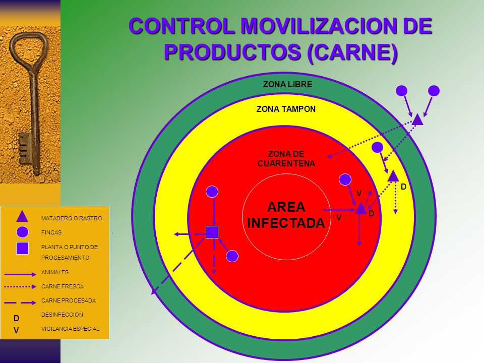 CONTROL MOVILIZACION DE PRODUCTOS (CARNE)