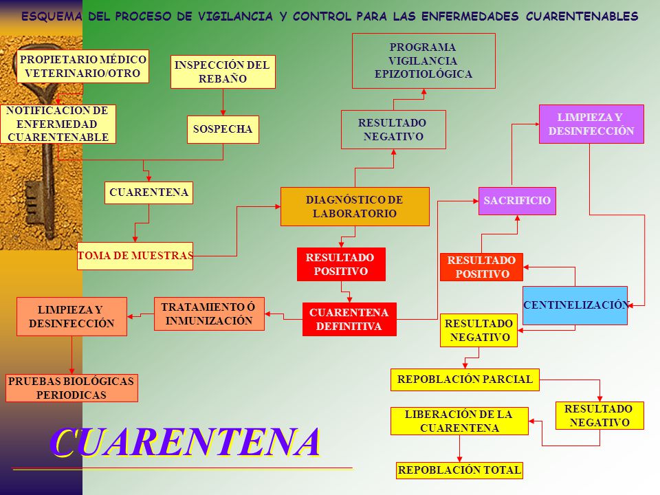ESQUEMA DEL PROCESO DE VIGILANCIA Y CONTROL PARA LAS ENFERMEDADES CUARENTENABLES