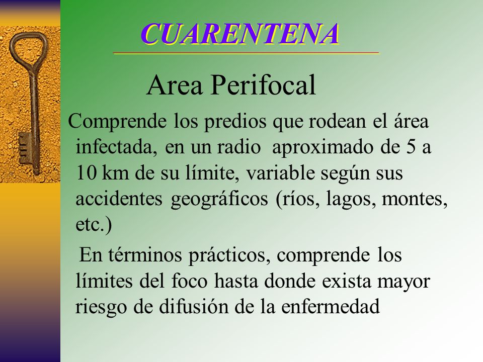 CUARENTENA Area Perifocal