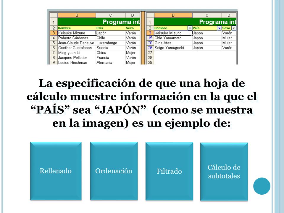 La especificación de que una hoja de cálculo muestre información en la que el PAÍS sea JAPÓN (como se muestra en la imagen) es un ejemplo de: