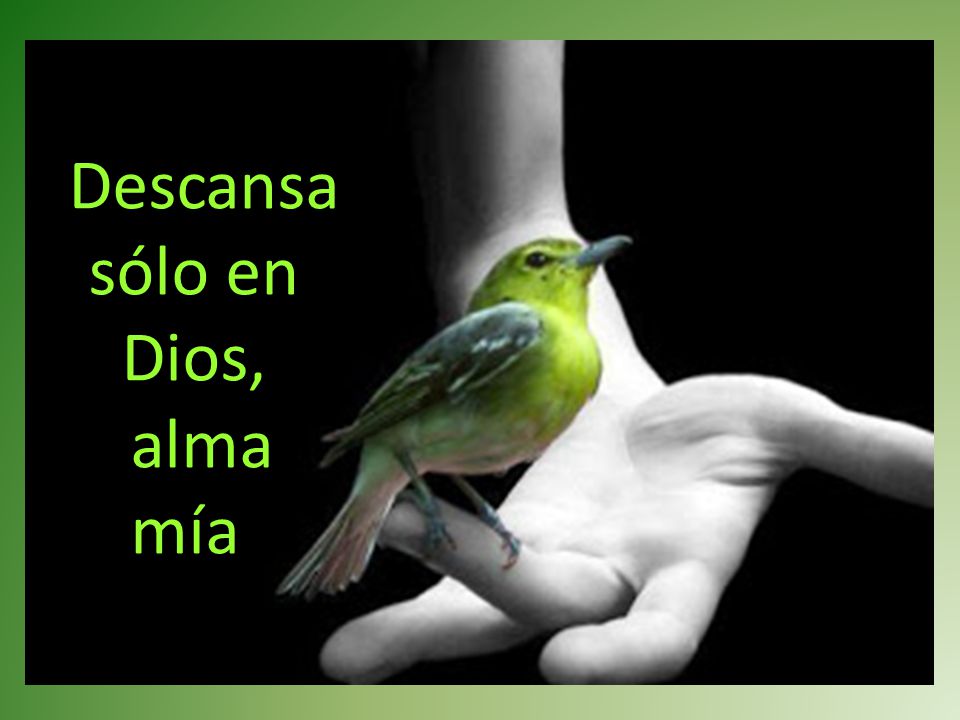 Descansa sólo en Dios, alma mía.