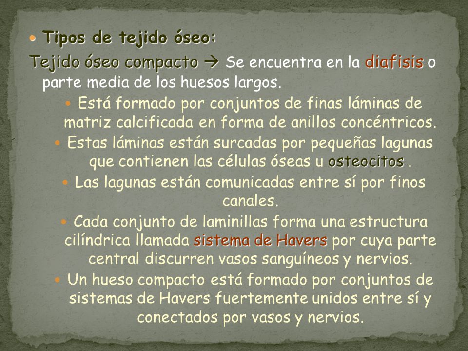 Las lagunas están comunicadas entre sí por finos canales.
