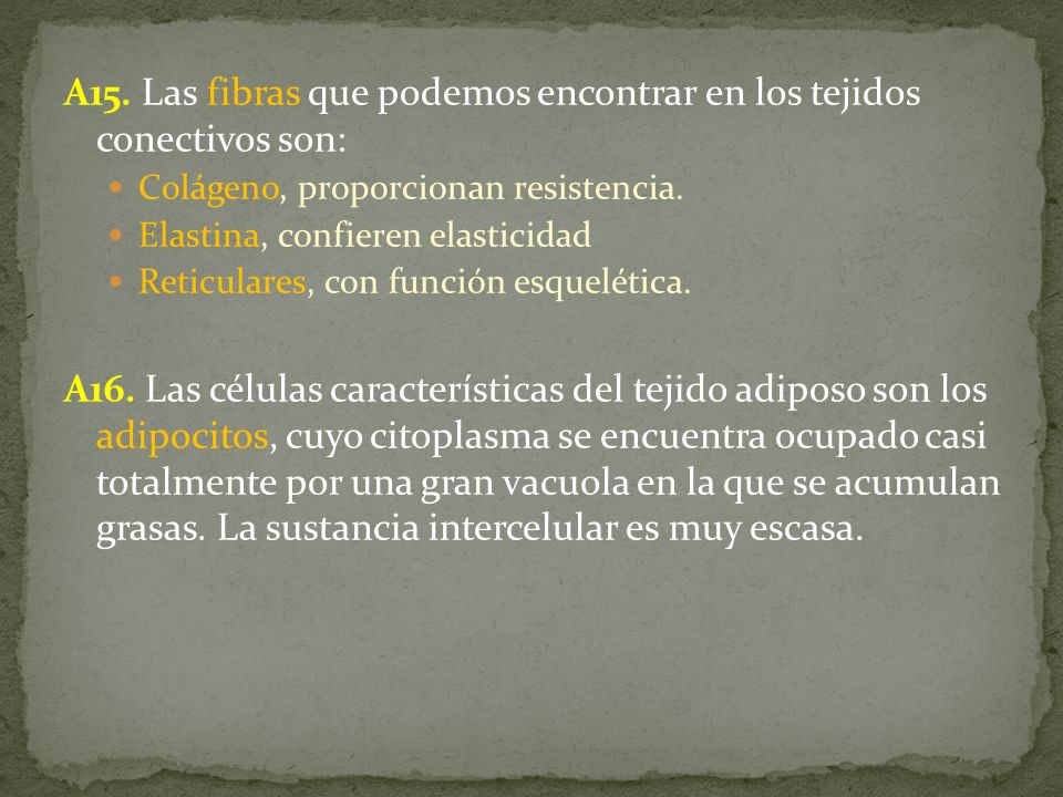 A15. Las fibras que podemos encontrar en los tejidos conectivos son:
