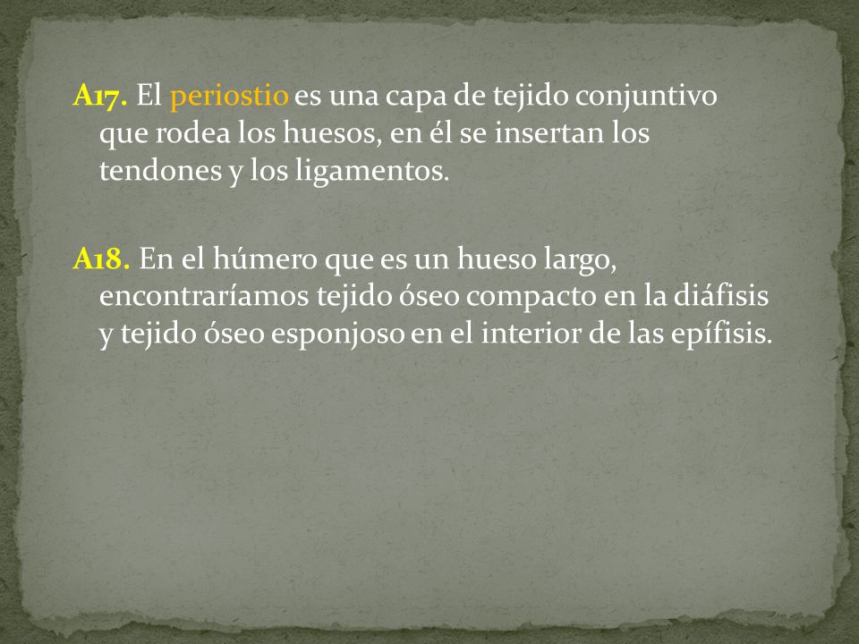 A17. El periostio es una capa de tejido conjuntivo que rodea los huesos, en él se insertan los tendones y los ligamentos.