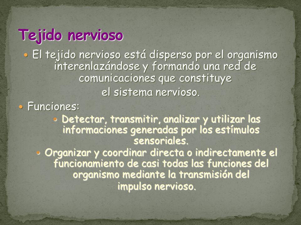 Tejido nervioso El tejido nervioso está disperso por el organismo interenlazándose y formando una red de comunicaciones que constituye.