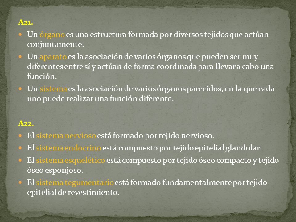A21. Un órgano es una estructura formada por diversos tejidos que actúan conjuntamente.