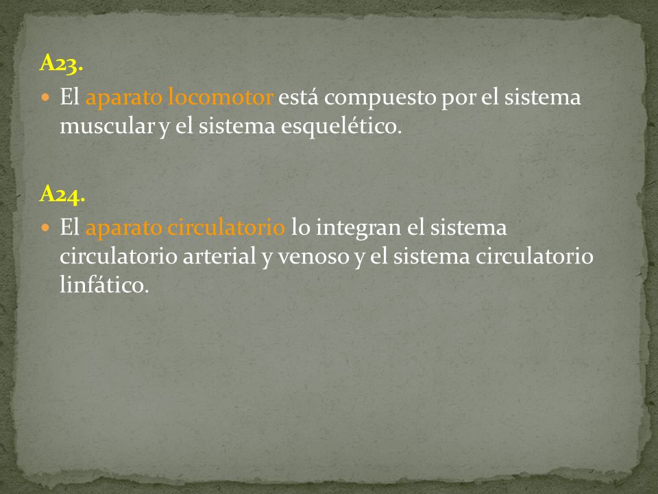 A23. El aparato locomotor está compuesto por el sistema muscular y el sistema esquelético. A24.