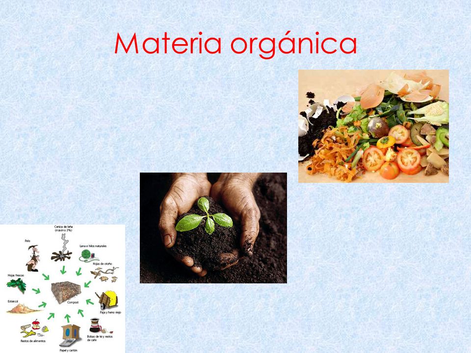 Materia orgánica