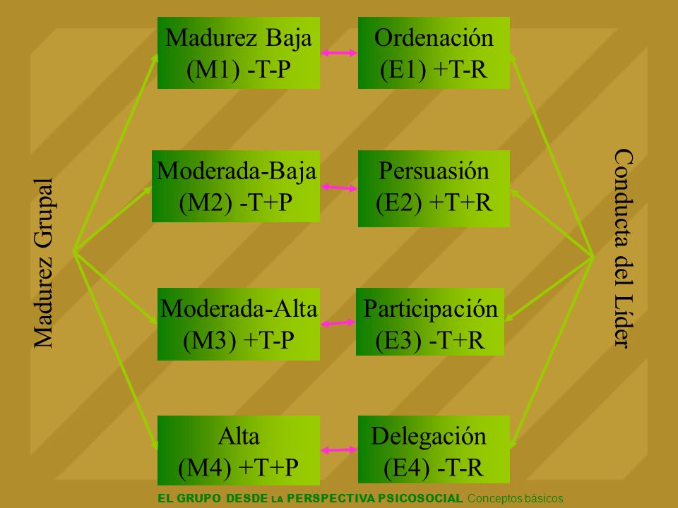 Madurez Baja (M1) -T-P. Ordenación. (E1) +T-R. Madurez Grupal. Conducta del Líder. Moderada-Baja.