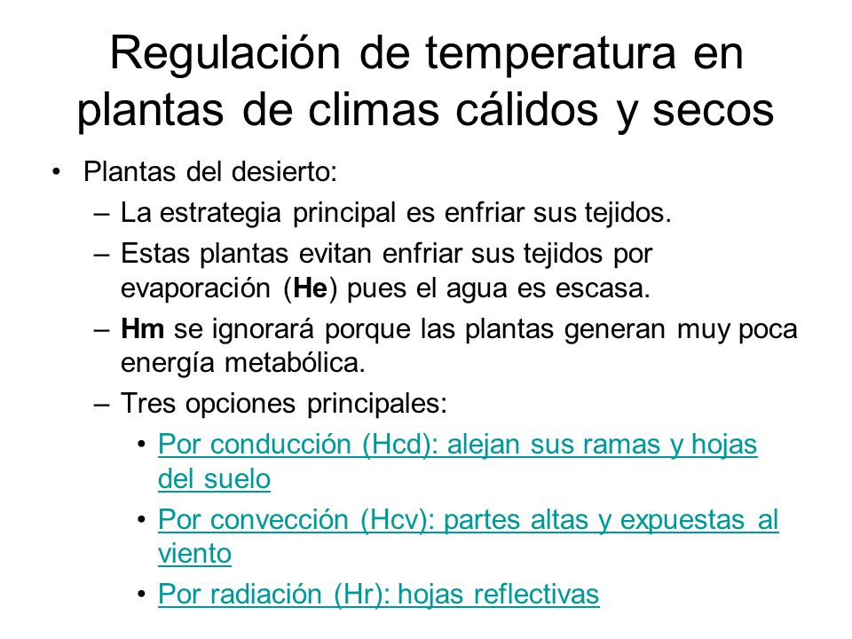 Regulación de temperatura en plantas de climas cálidos y secos